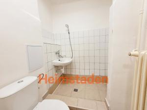 Pronájem bytu 1+kk, Havířov - Město, Hlavní třída, 20 m2