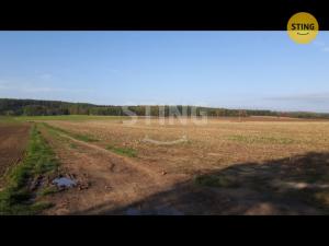 Prodej zemědělské půdy, Krumsín, 5188 m2