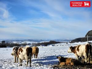 Prodej pozemku pro bydlení, Kořenec, 119009 m2