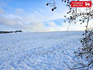 Prodej pozemku pro bydlení, Kořenec, 119009 m2