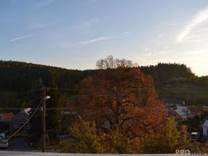 Prodej bytu 4+1, Litovel, 135 m2