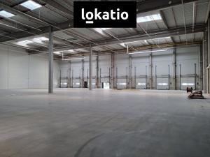 Pronájem skladu, Pardubice, 2700 m2