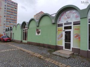 Pronájem restaurace, Most, Víta Nejedlého, 91 m2