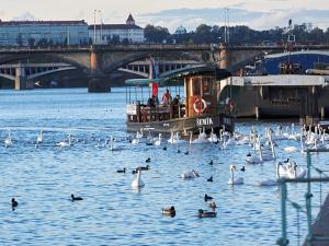 Prodej bytu 2+kk, Praha - Nusle, Bělehradská, 51 m2