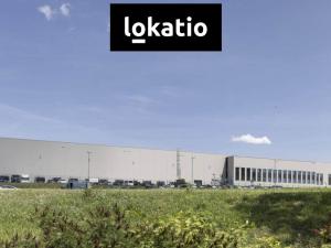 Pronájem skladu, Ostrava, 14247 m2