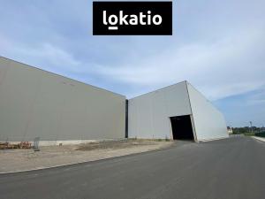 Pronájem skladu, Ostrava, 9653 m2