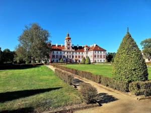 Prodej zemědělské půdy, Mnichovo Hradiště - Sychrov, 140145 m2