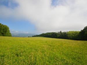 Prodej trvalého travního porostu, Heřmanov, Heřmanov, 96032 m2