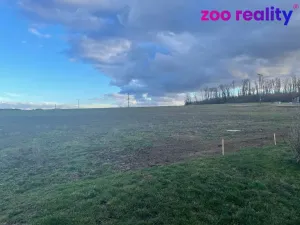 Prodej pozemku pro bydlení, Svojšice, 1084 m2