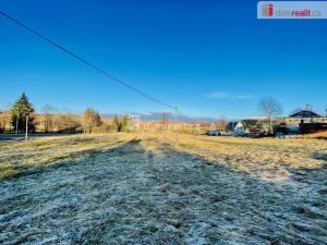 Prodej pozemku pro bydlení, Borovnice, 2398 m2