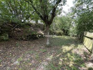 Prodej rodinného domu, Brodec, 2027 m2