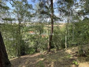 Prodej rodinného domu, Brodec, 2027 m2