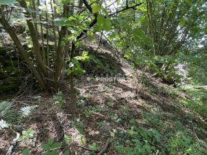 Prodej rodinného domu, Brodec, 2027 m2