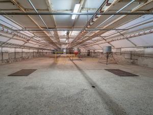 Prodej zemědělské usedlosti, Malhotice, 7464 m2