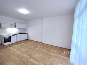 Pronájem bytu 1+kk, Čížová - Topělec, 27 m2