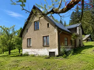 Prodej rodinného domu, Zásada, 200 m2