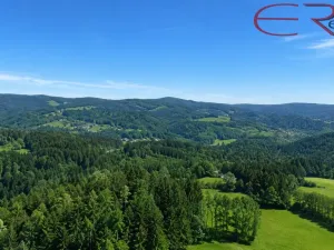 Prodej rodinného domu, Zásada, 200 m2