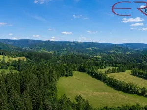 Prodej rodinného domu, Zásada, 200 m2