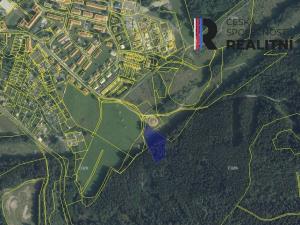 Prodej lesa, Březová, Okružní, 6018 m2