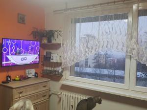 Prodej bytu 2+kk, Litvínov, Tylova, 36 m2