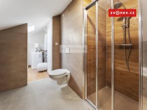 Pronájem bytu 3+kk, Sazovice, 61 m2