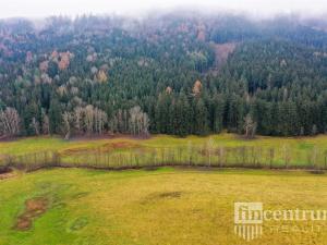 Prodej trvalého travního porostu, Čistá u Horek, 3931 m2