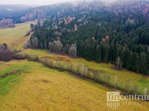 Prodej trvalého travního porostu, Čistá u Horek, 3931 m2