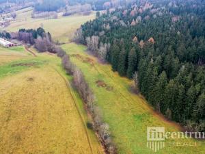 Prodej trvalého travního porostu, Čistá u Horek, 3931 m2