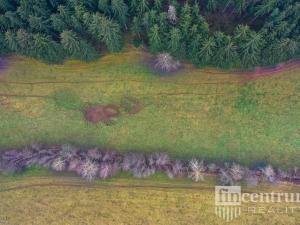 Prodej trvalého travního porostu, Čistá u Horek, 3931 m2