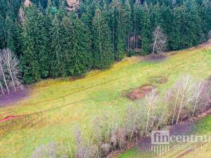 Prodej trvalého travního porostu, Čistá u Horek, 3931 m2