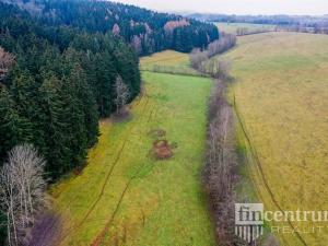 Prodej trvalého travního porostu, Čistá u Horek, 3931 m2