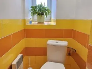 Prodej rodinného domu, Bor - Ostrov, Ostrov, 159 m2