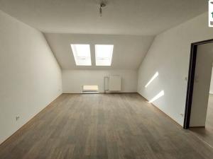 Pronájem bytu 2+1, Cheb, Evropská, 76 m2