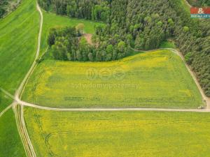 Prodej zemědělské půdy, Ostrov u Bezdružic, 49419 m2