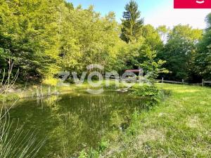 Prodej rybníku, Prlov, 7474 m2