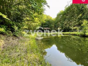 Prodej rybníku, Prlov, 7474 m2