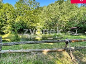 Prodej rybníku, Prlov, 7474 m2