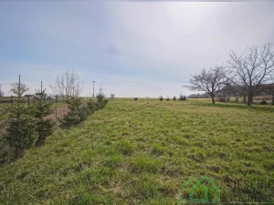 Prodej pozemku pro bydlení, Javorník - Bílý Potok, 1447 m2