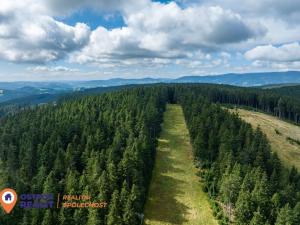 Prodej chalupy, Ostružná - Petříkov, 250 m2