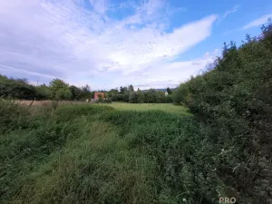 Prodej zahrady, Lipník nad Bečvou, 1480 m2