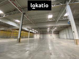 Pronájem skladu, Modřice, 16895 m2