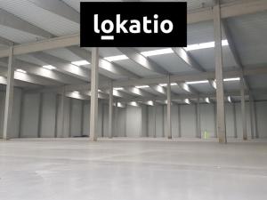 Pronájem skladu, Olomouc, 12000 m2