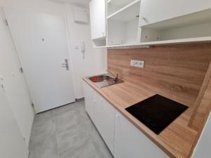 Pronájem bytu 1+kk, Teplice - Trnovany, Antonína Sochora, 20 m2