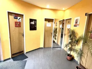 Prodej restaurace, Luka nad Jihlavou, Hřbitovní, 688 m2