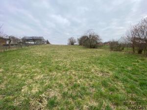 Prodej pozemku pro bydlení, Tršice, 2341 m2