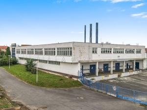 Pronájem výrobních prostor, Veselí nad Moravou, Zarazická, 6350 m2