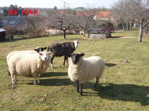 Prodej pozemku pro bydlení, Lubná, 1642 m2