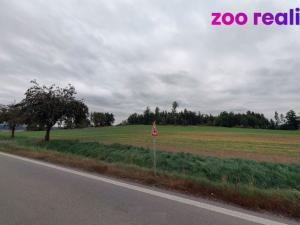 Prodej pole, Horní Pěna, 14150 m2