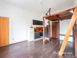 Pronájem bytu 1+kk, Praha - Michle, Michelská, 25 m2