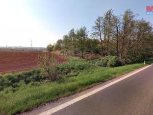 Prodej lesa, Blíževedly, 13318 m2